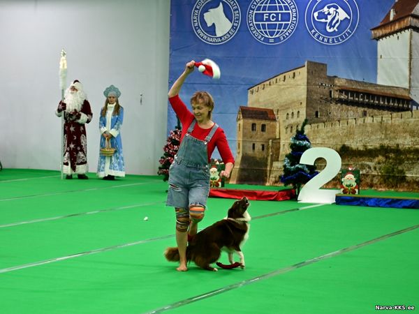 Dog Show