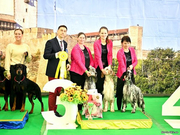 Best breeder 3