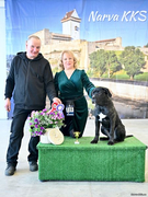 NDS 22.03.2025
