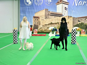 NDS 22.03.2025