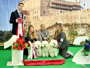 Best breeder 1