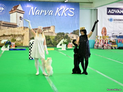 NDS 22.03.2025