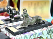 Narva Dog Show