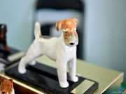 Narva Dog Show