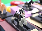 Narva Dog Show
