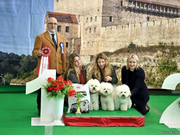 Best breeder 1