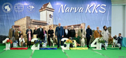 Final Dog Show