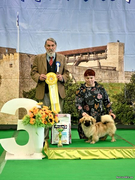Best puppy 3
