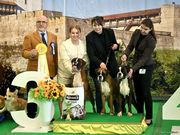 Best breeder 3
