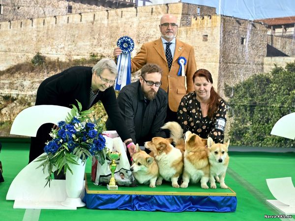 Best breeder 2