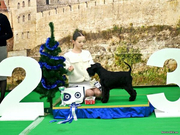 Elizabeth Ivett Ussanov