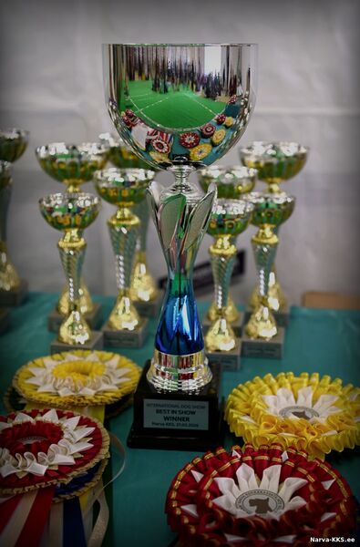 Narva Dog Show 21.03.2026